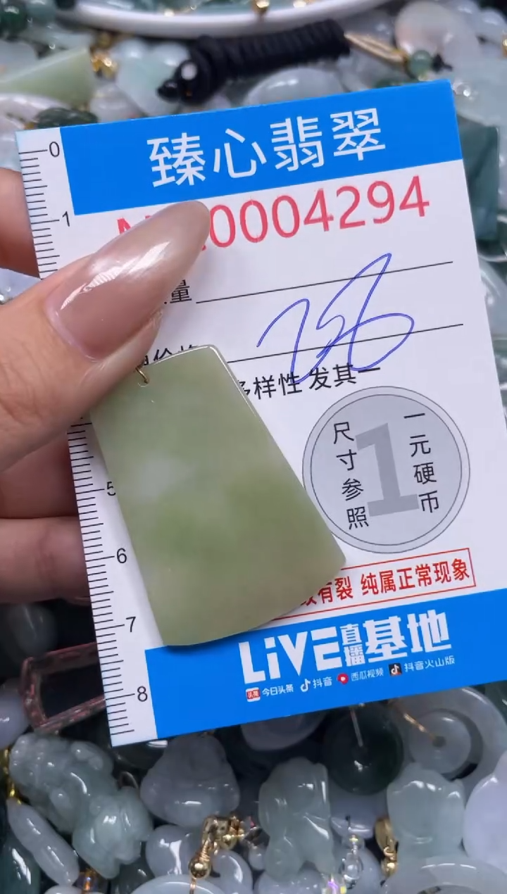 颈饰未镶嵌翡翠4294