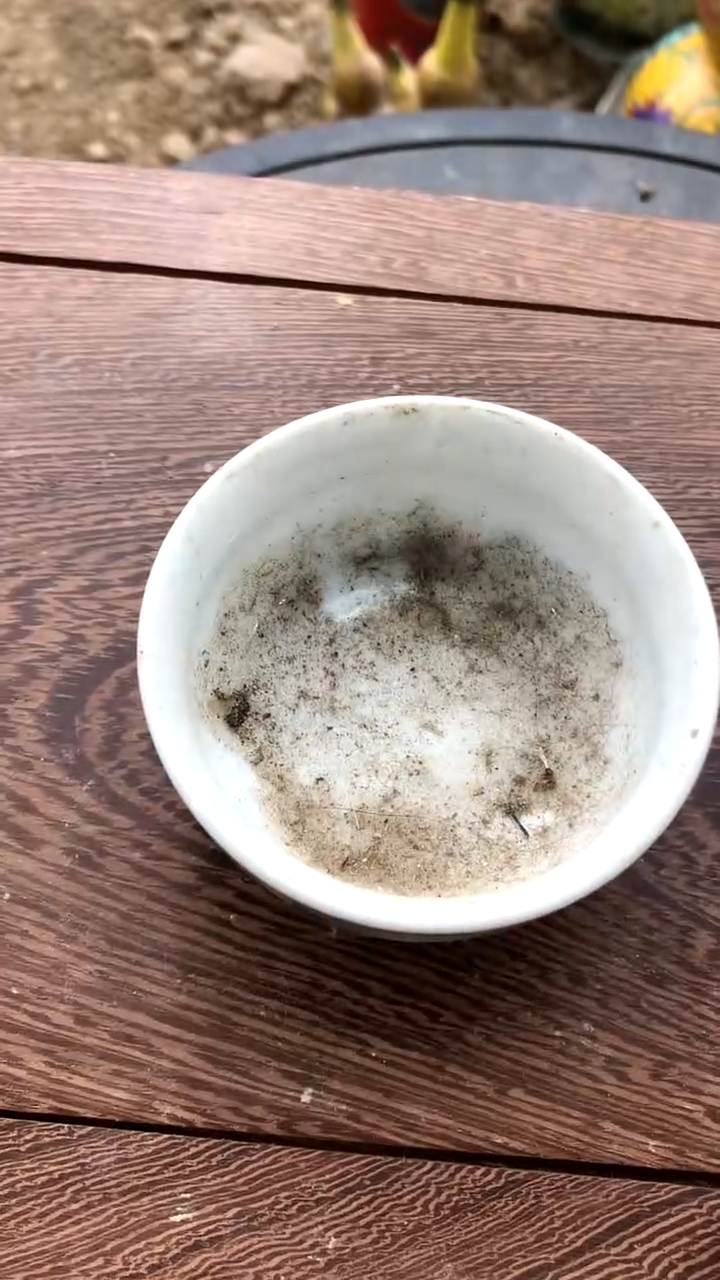 【闪购商品】搪瓷商用陶瓷代替链接（已直播间实物为准）