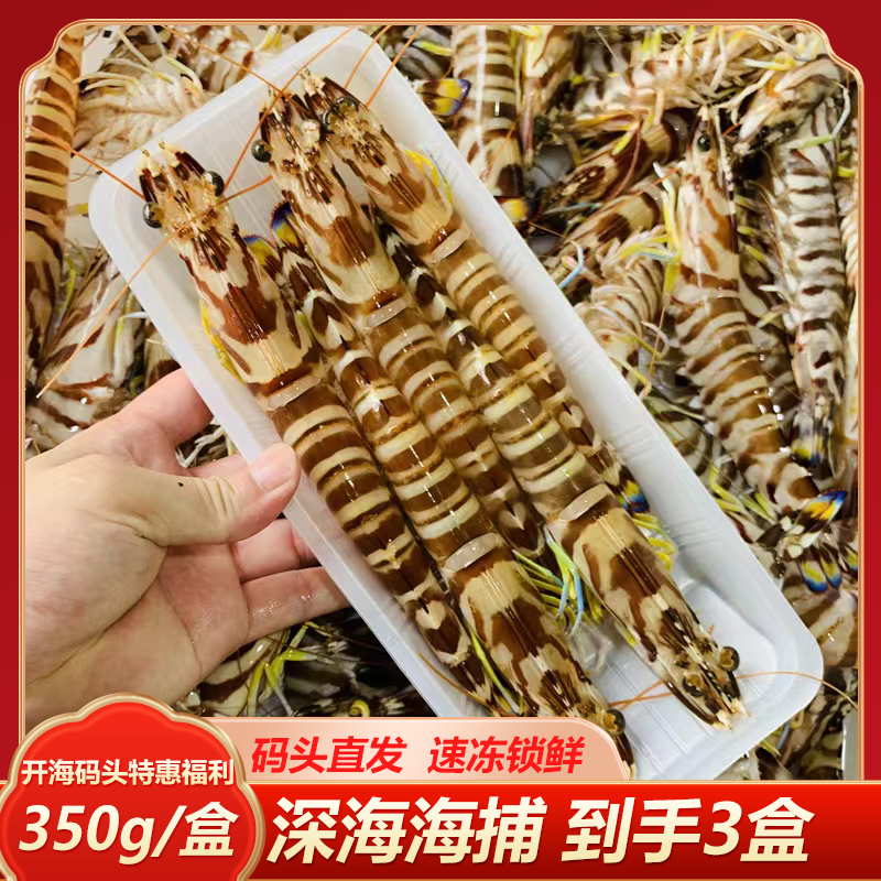  350g/盒大斑节虾深海海捕速冻发货福建东山岛野生海虾九节虾花虾