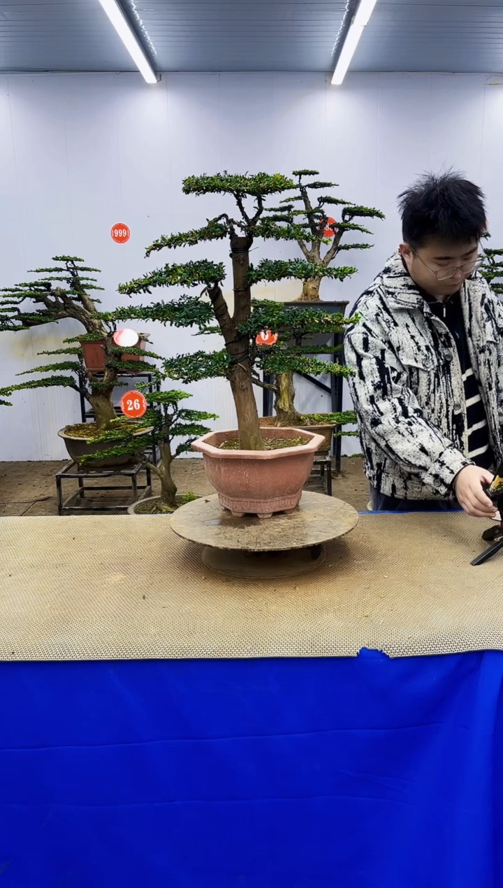 完全开放远*一物一拍，所见即所得