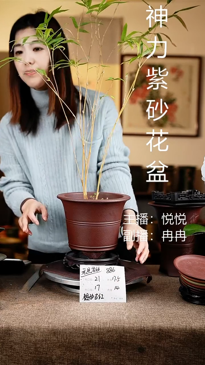 紫砂花盆花卉工艺886+s