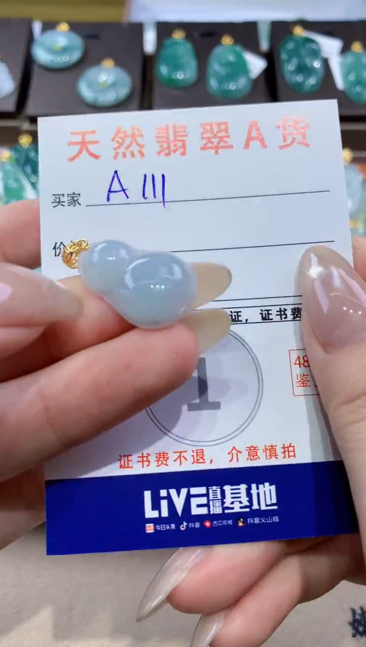 颈饰未镶嵌翡翠天然缅甸翡翠A货挂件 