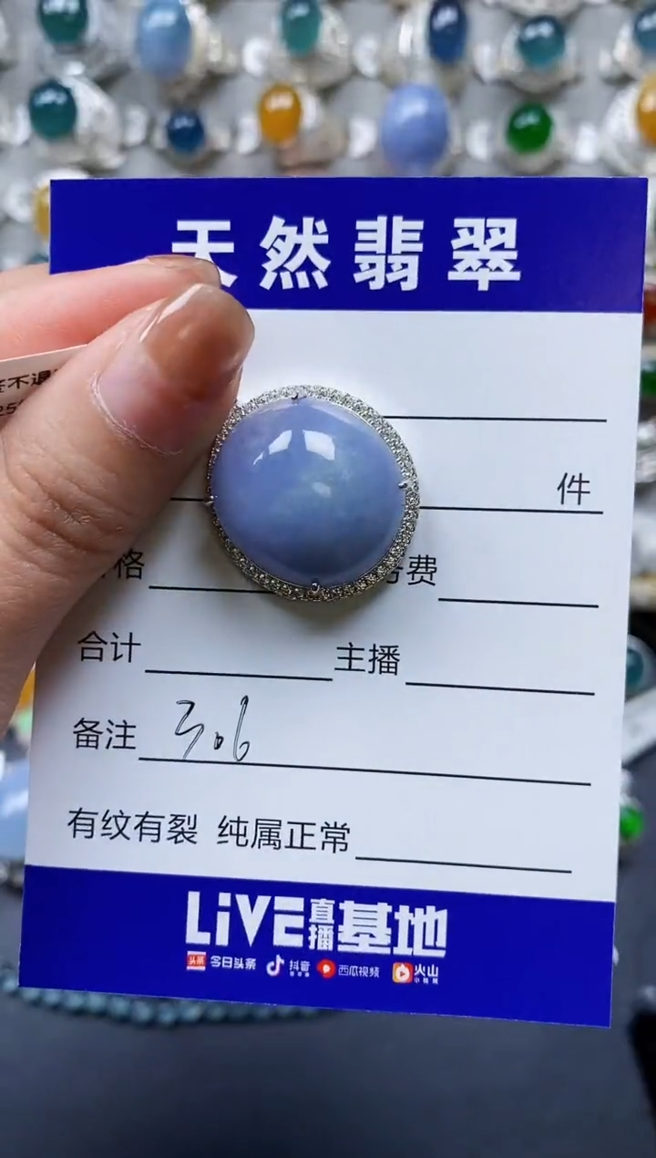 【闪购商品】翡翠颈饰银S925镶嵌0306