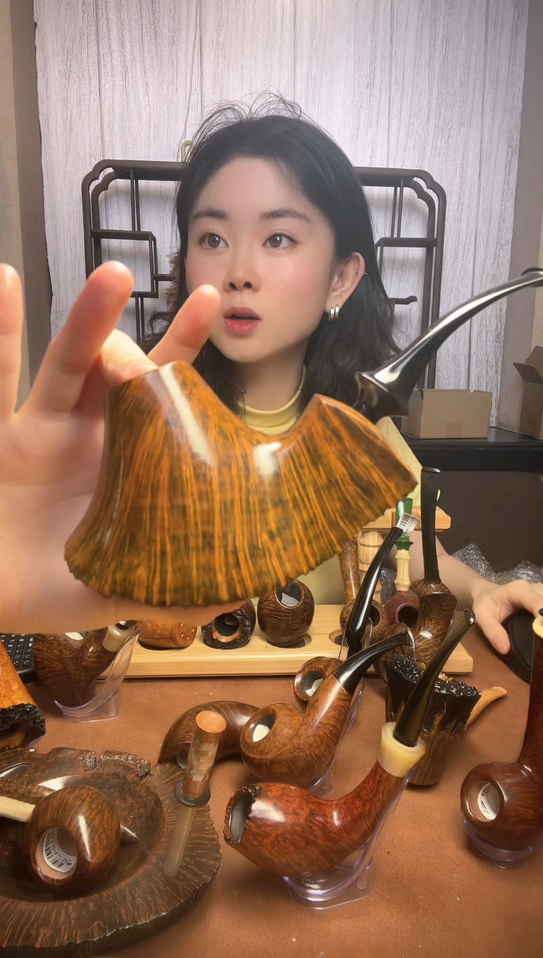 *火山满底大瘤皮