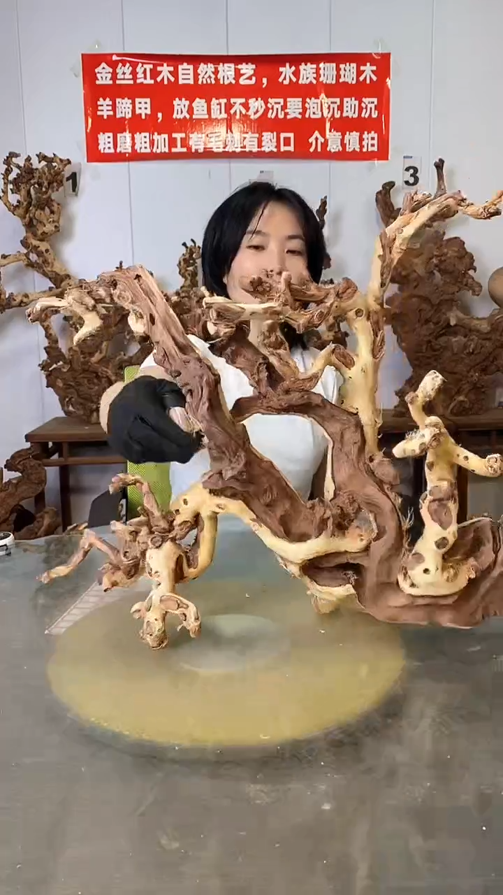 香榧木金丝红木 羊蹄甲