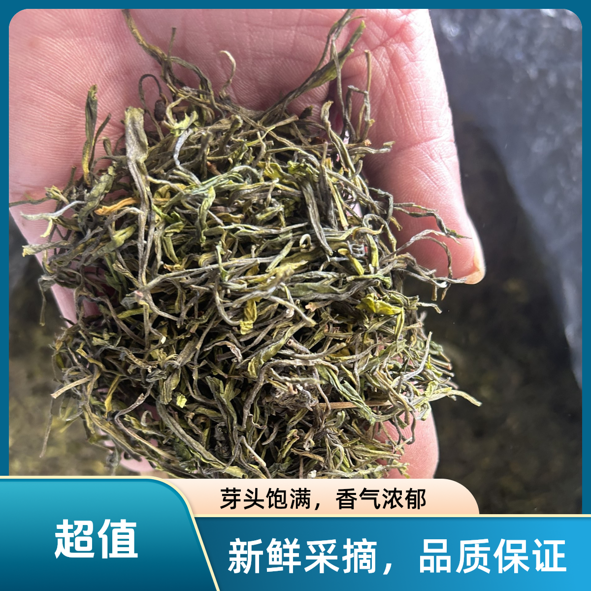 春尖 高山生态口粮茶 浓茶散茶 年底大甩卖 豆香兰花香