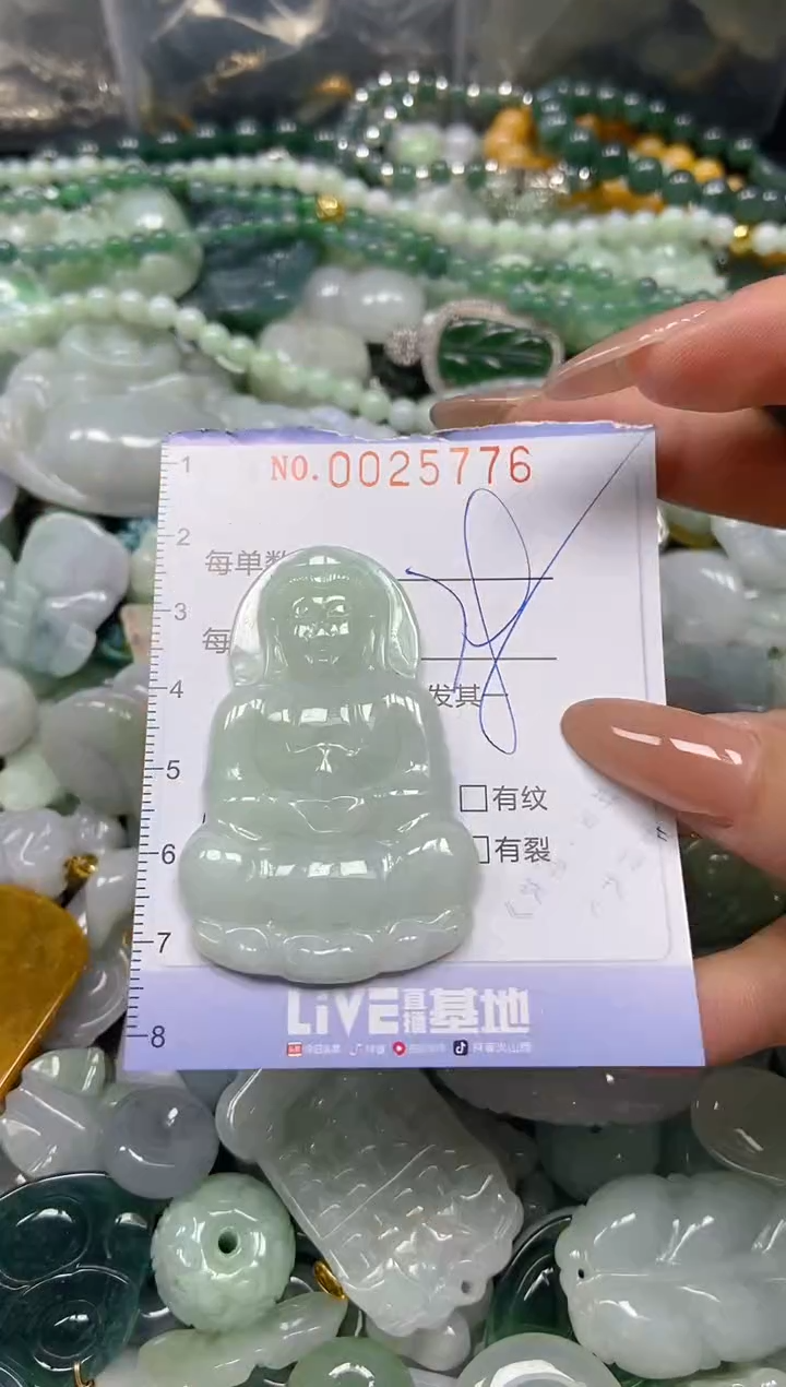 【闪购商品】翡翠颈饰未镶嵌闪购0025776