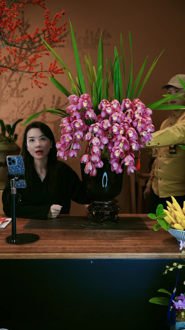 【闪购商品】盆景粉红露露 黑