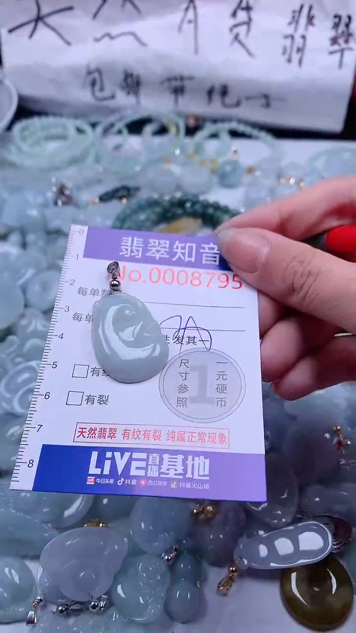 翡翠未镶嵌吊坠(不含链)8799