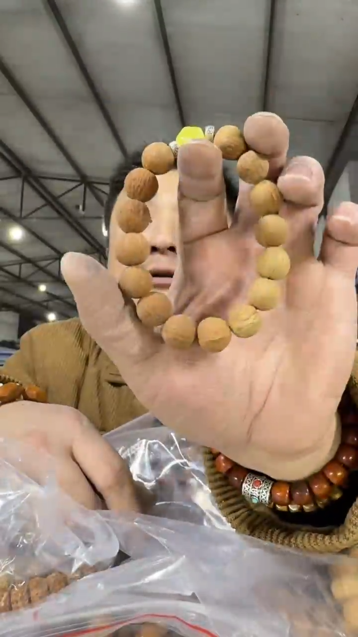 【闪购商品】金刚菩提手串H173实物为准