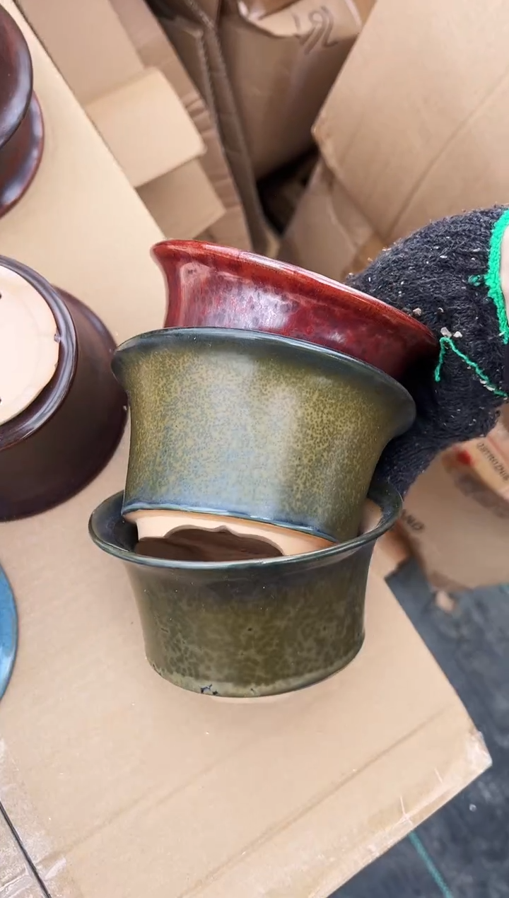 聚****园54号微瑕的三个的