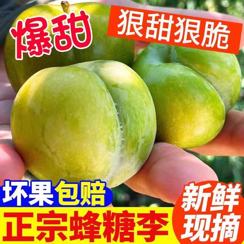 【不甜包赔】正宗六马蜂糖李子纯甜无酸京东空运次日送到当季水果2
