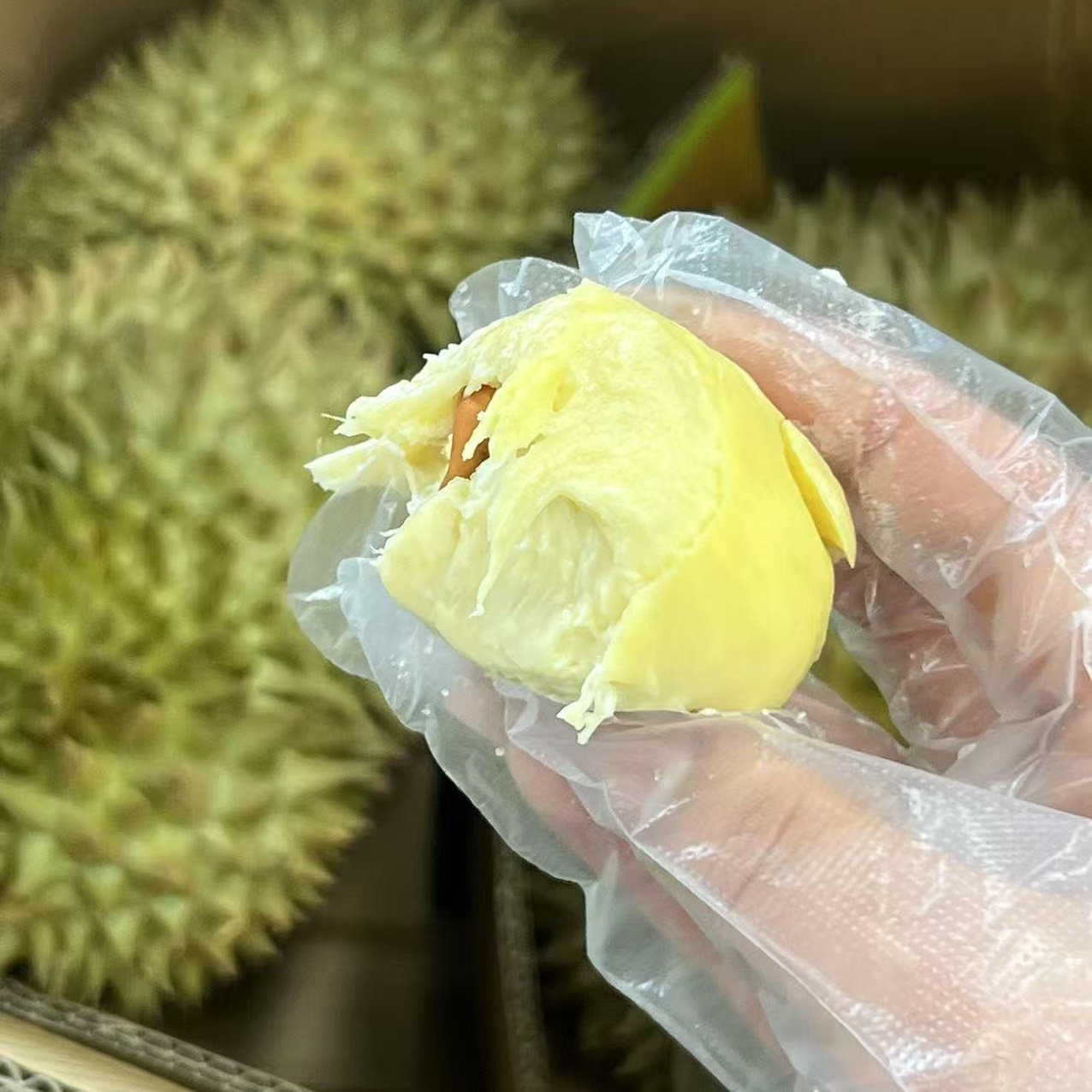 鲜榴莲树熟金枕一果一重核小3kg左右榴莲同城配金枕布基纳法索