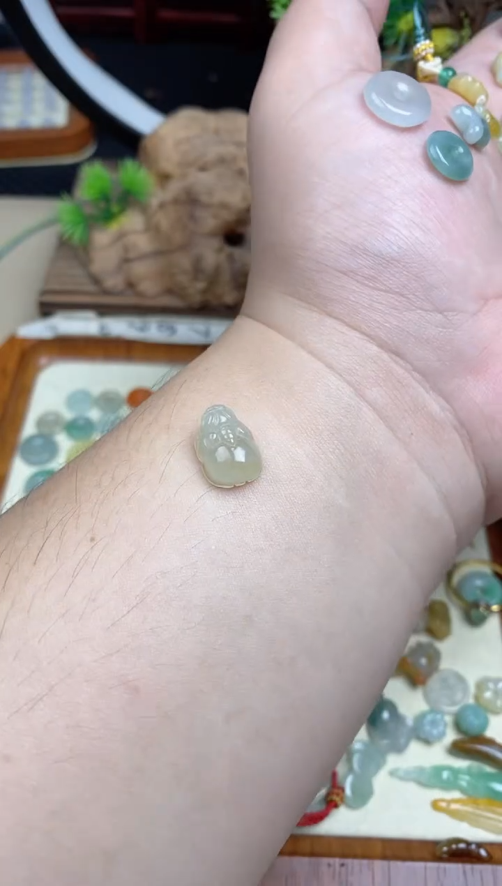 颈饰未镶嵌翡翠蒋***?翡翠