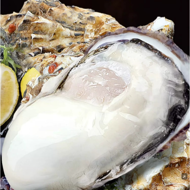 【买5斤送5斤】新鲜乳山生蚝新鲜海蛎子海鲜牡蛎贝壳