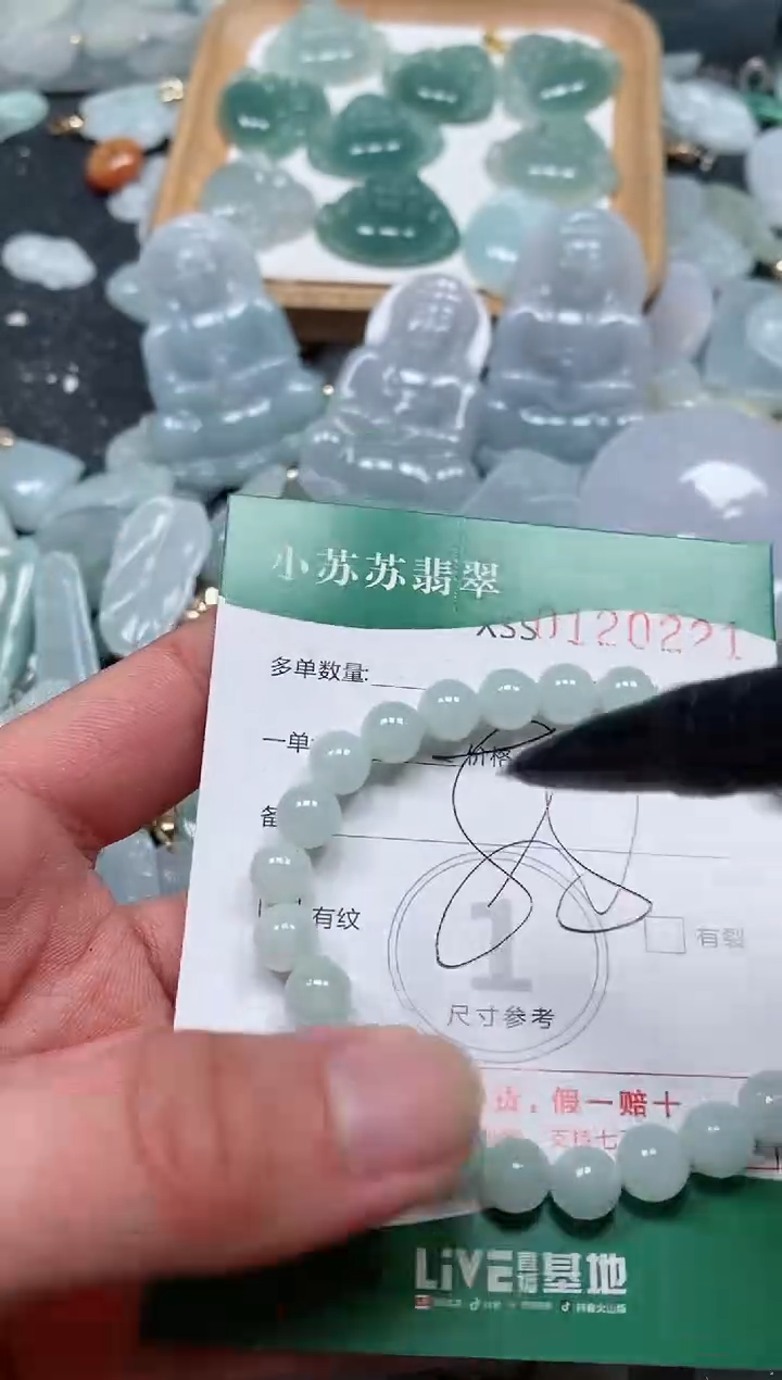 【闪购商品】翡翠颈饰未镶嵌闪购商品0120221