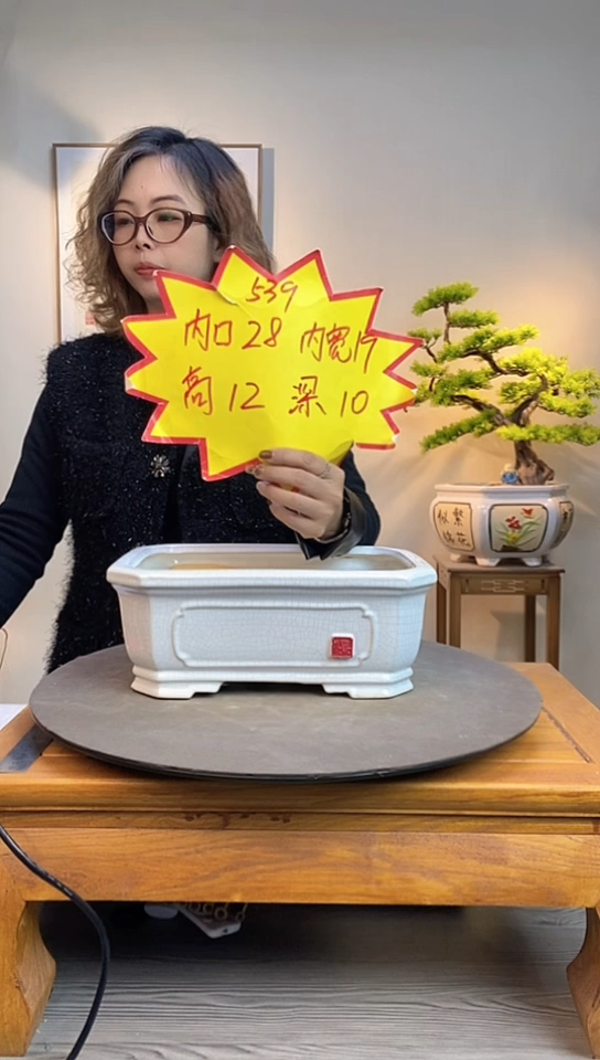 【闪购商品】陶瓷539白色