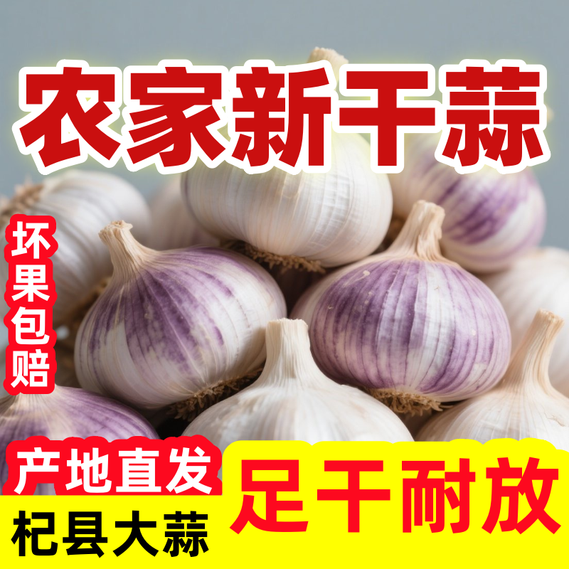 新干蒜杞县大蒜原产地直发5斤包邮正宗紫皮干蒜头可吃可种2025年
