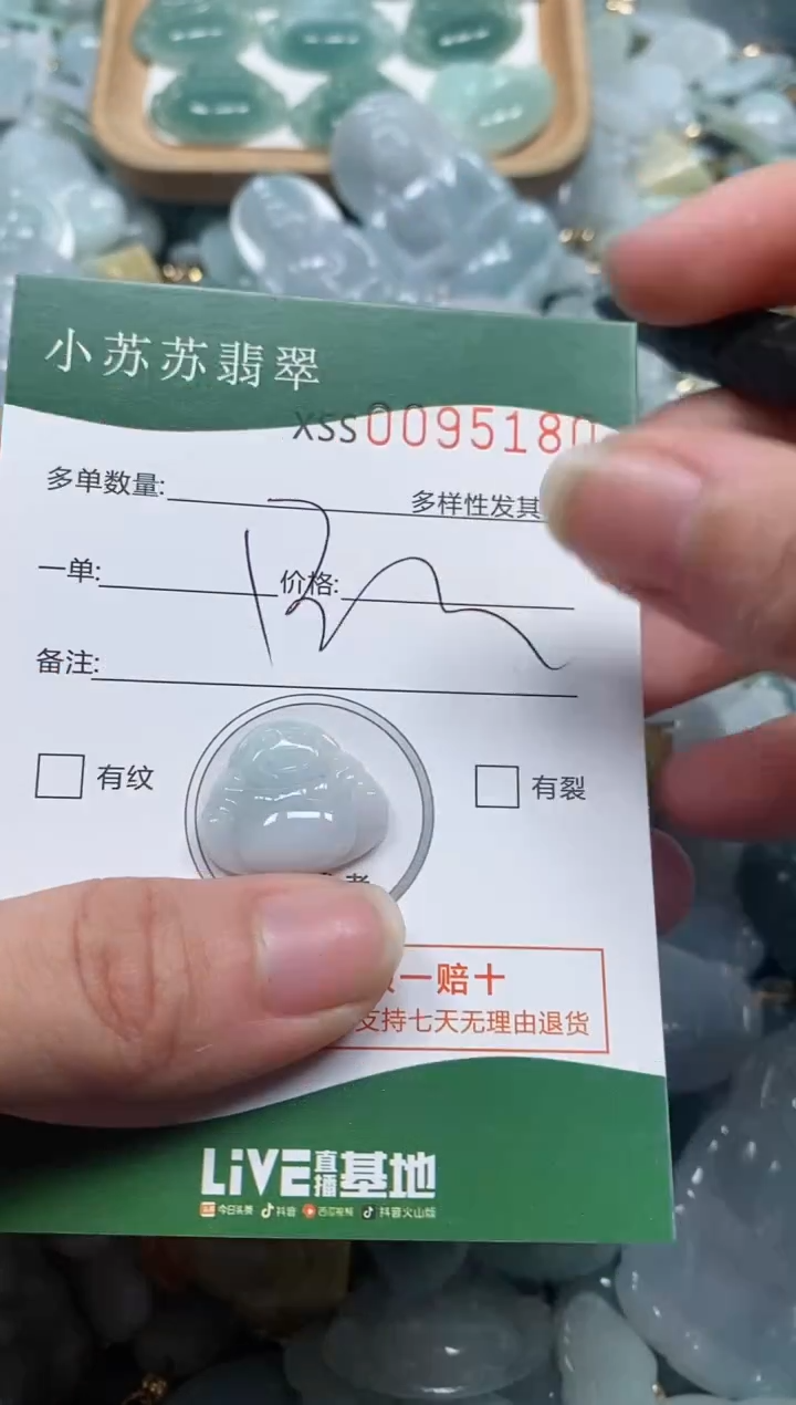 【闪购商品】翡翠颈饰未镶嵌闪购商品0095180