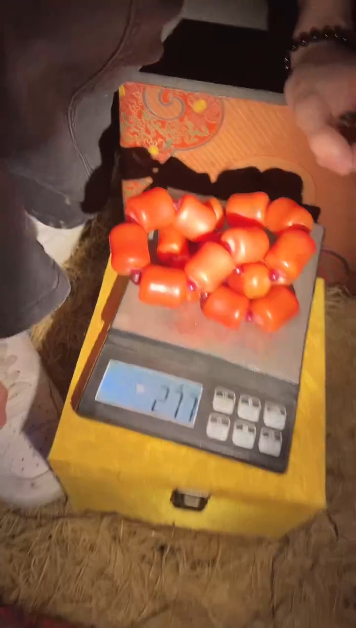 【闪购商品】【闪购商品】竹节手持