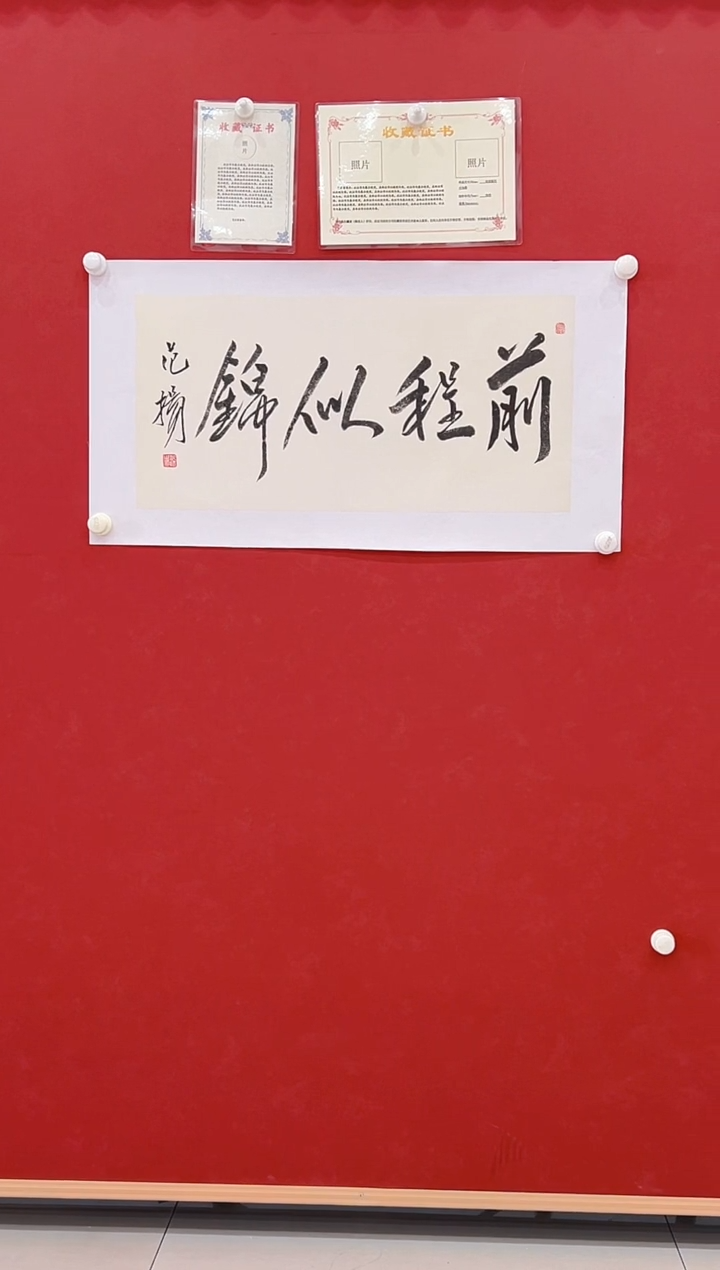 【闪购商品】书法范       书法     2平尺