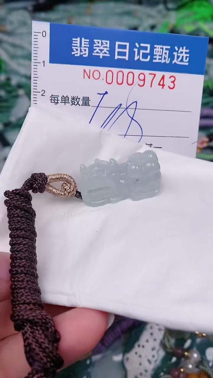 【闪购商品】翡翠颈饰未镶嵌00009743