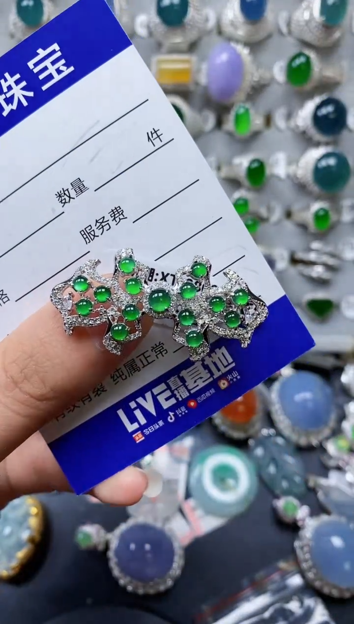 【闪购商品】翡翠颈饰银S925镶嵌0298