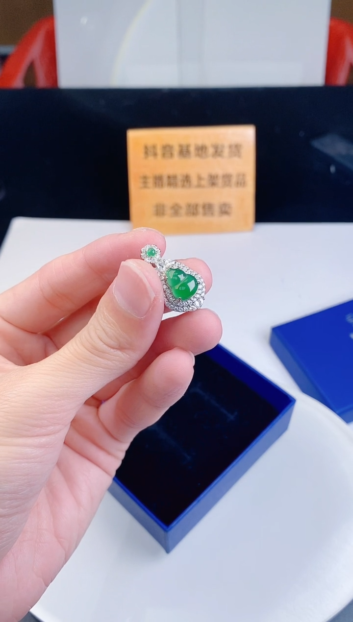 颈饰未镶嵌翡翠   