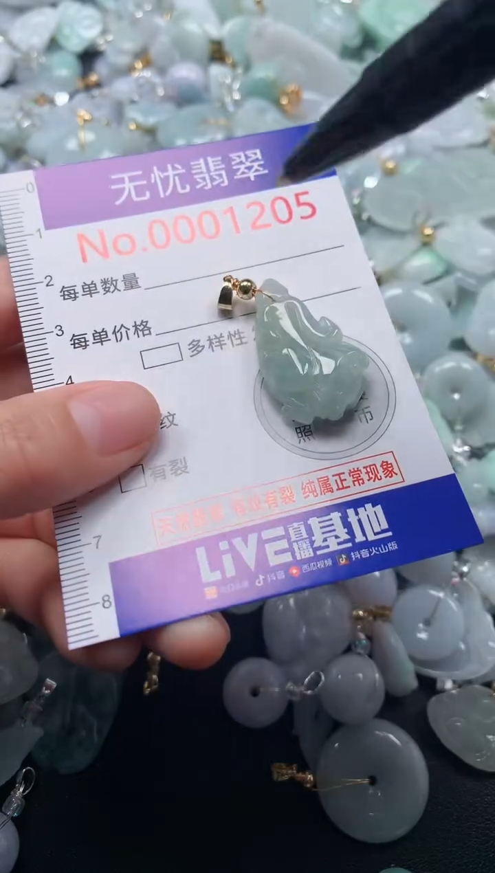 颈饰未镶嵌翡翠1205