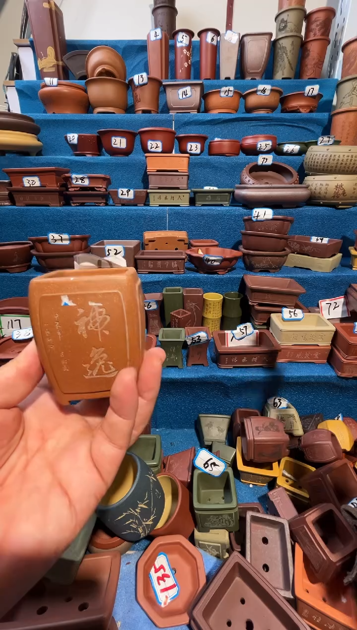 【闪购商品】紫砂紫砂花盆5*7