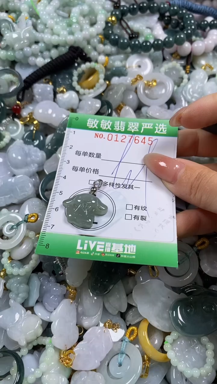 【闪购商品】翡翠颈饰未镶嵌闪购0127645