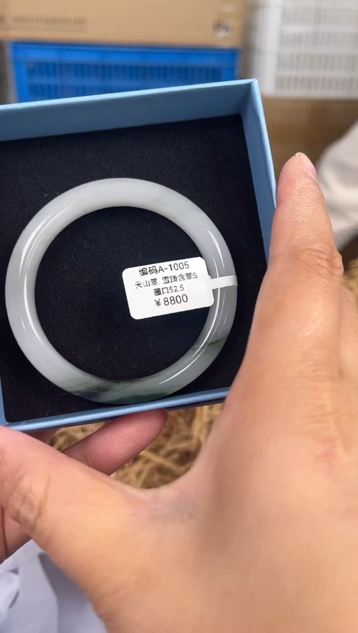 未镶嵌手镯石英质玉A-1005