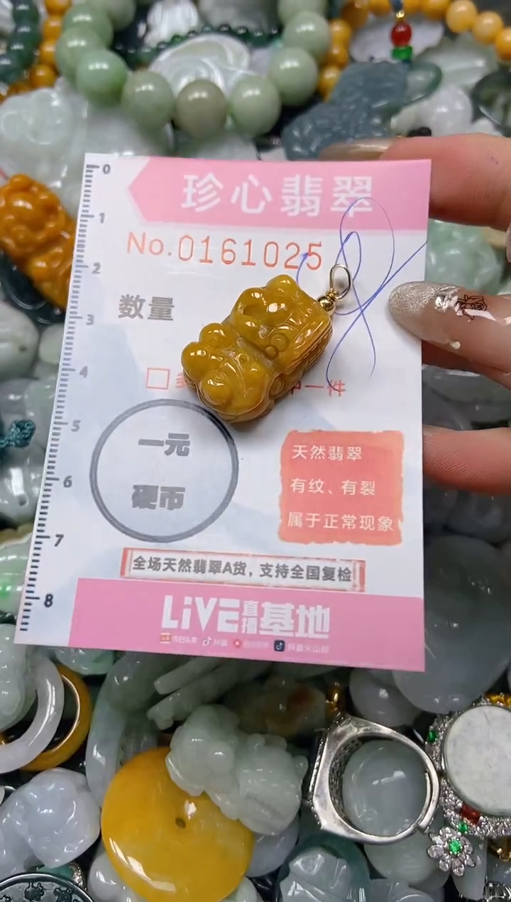 【闪购商品】翡翠颈饰未镶嵌闪购0161025