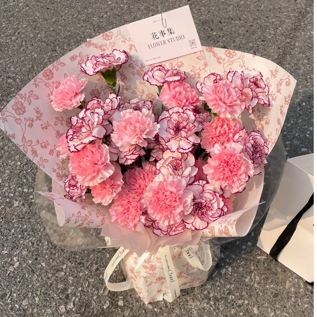 【半岛组合】紫精灵+粉钻康乃馨 任意两单以上顺丰冷链包邮