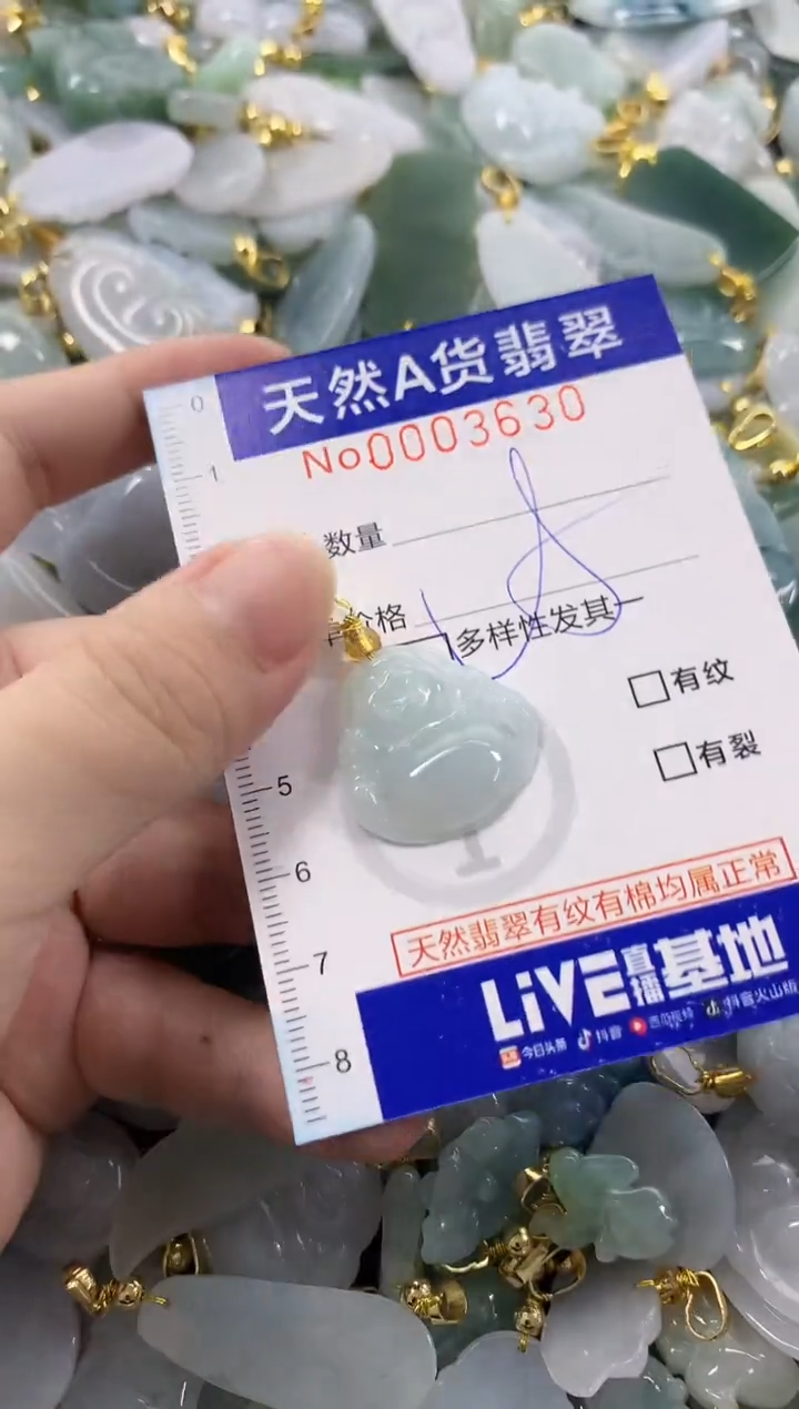 颈饰未镶嵌翡翠天然A货翡翠