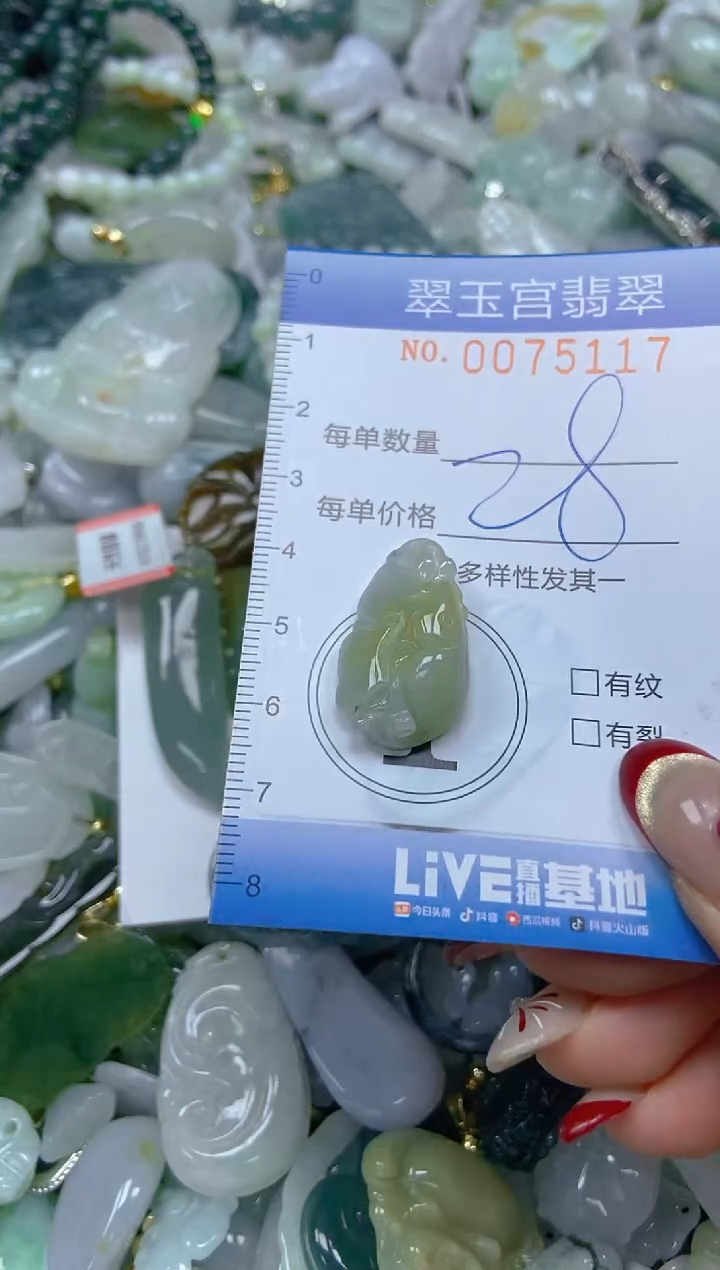 【闪购商品】翡翠颈饰未镶嵌闪购0075117