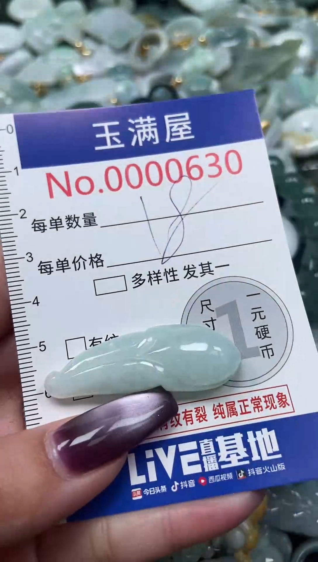 颈饰未镶嵌翡翠630