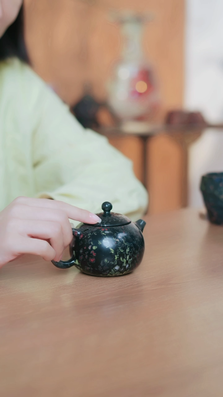 寻武记梅花玉一物随行一拍西施