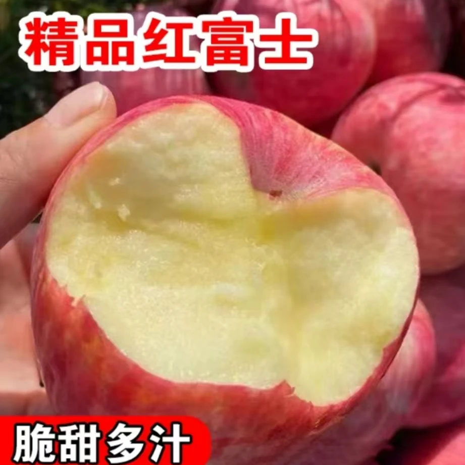 正宗山东烟台红富士苹果产地自发脆甜
