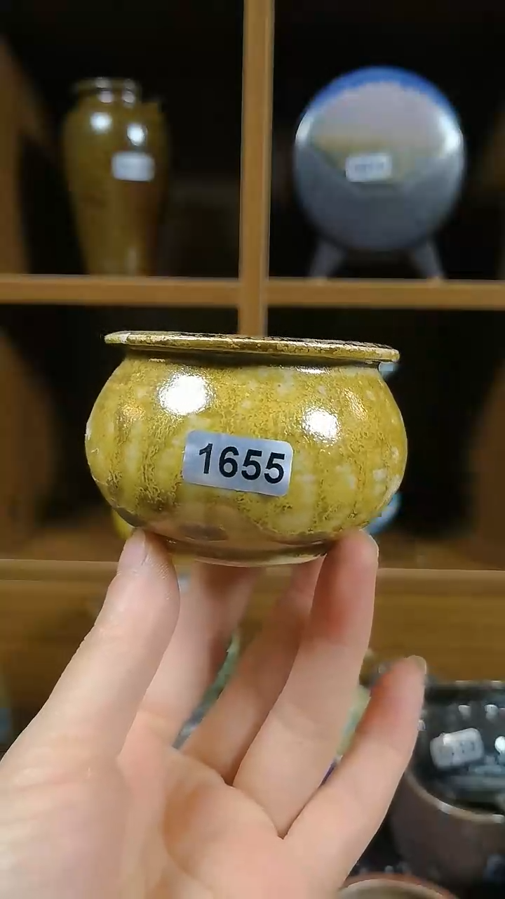 【闪购商品】红陶1655