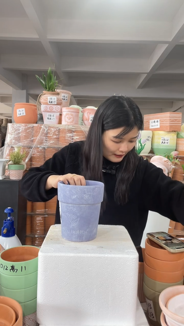 【闪购商品】红陶紫色向日葵14-16