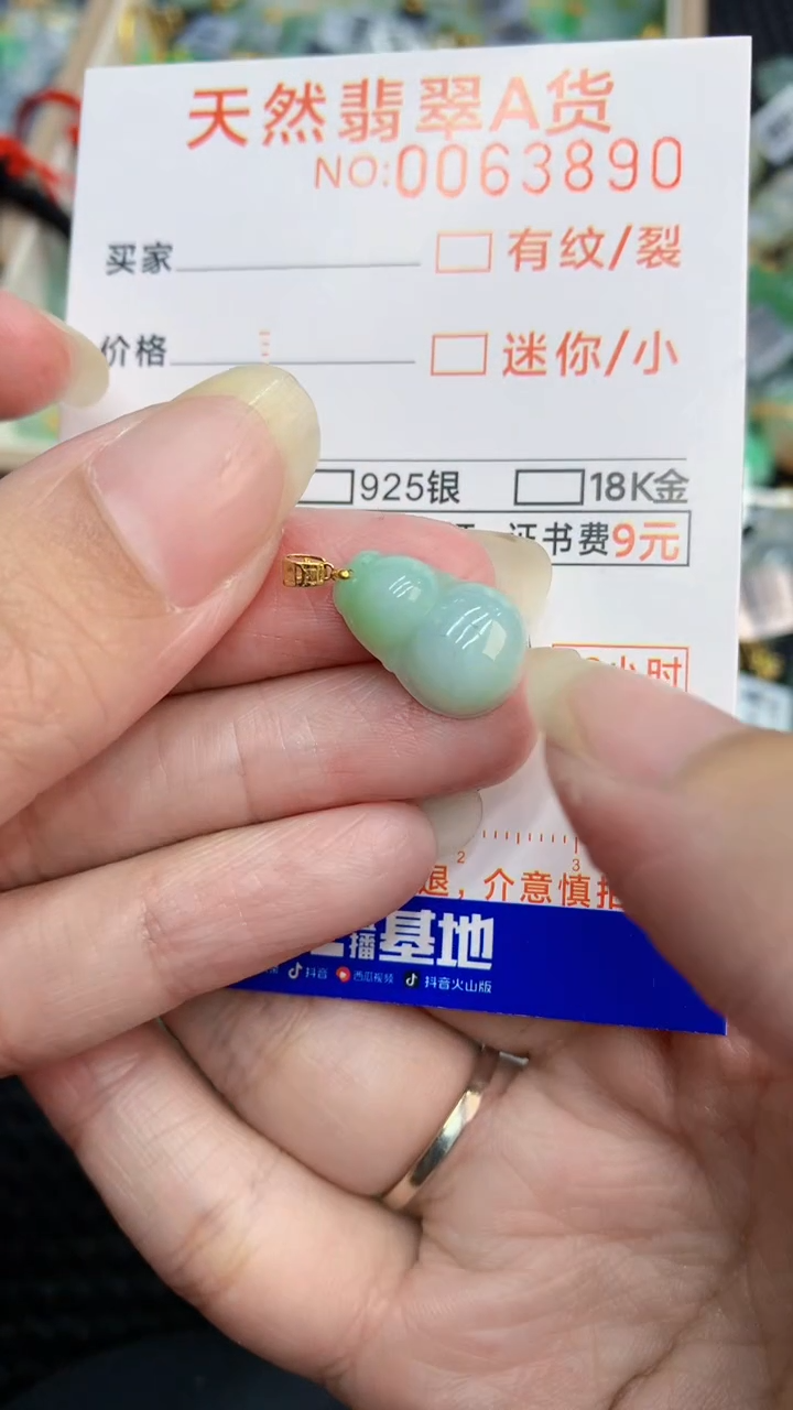 【闪购商品】翡翠颈饰18K金镶嵌           8