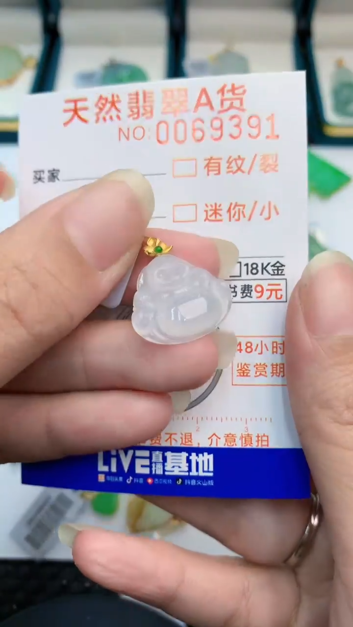 【闪购商品】翡翠颈饰18K金镶嵌            8