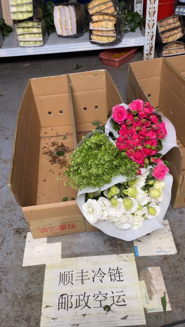 绿林草+白桔梗800克+苏菲10枝