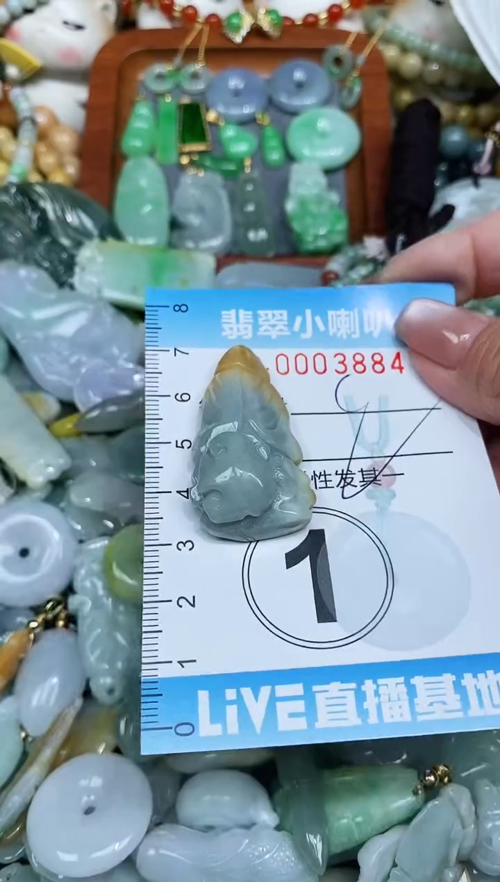 【闪购商品】翡翠颈饰未镶嵌闪购0003884