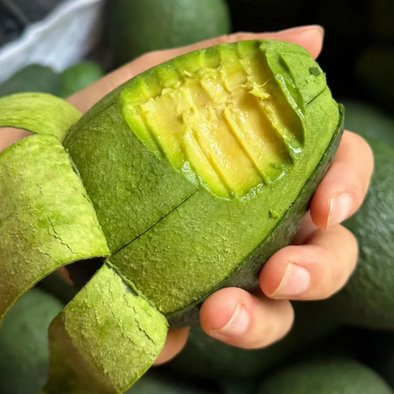 【精选树熟】高山哈斯秘鲁正宗进口牛油果宝宝辅食口感绵密果王