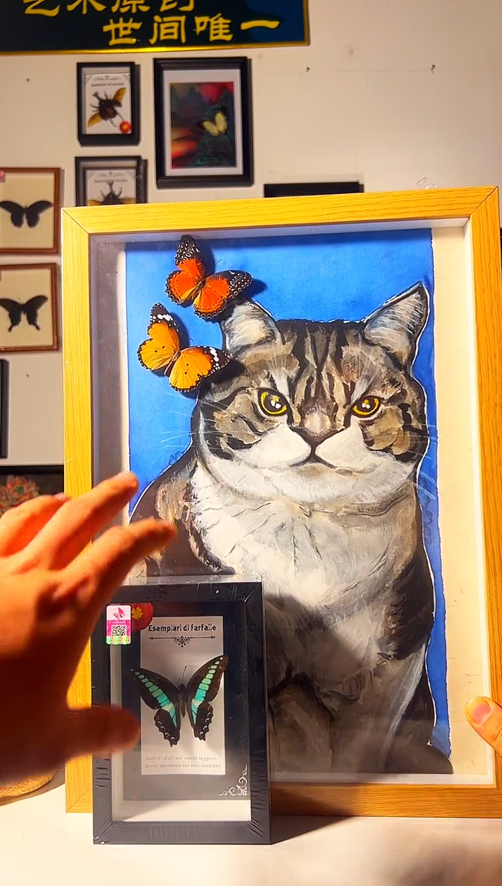 有机玻璃844846156