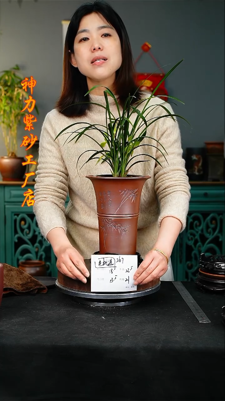 【闪购商品】紫砂花盆267+s颜色机选