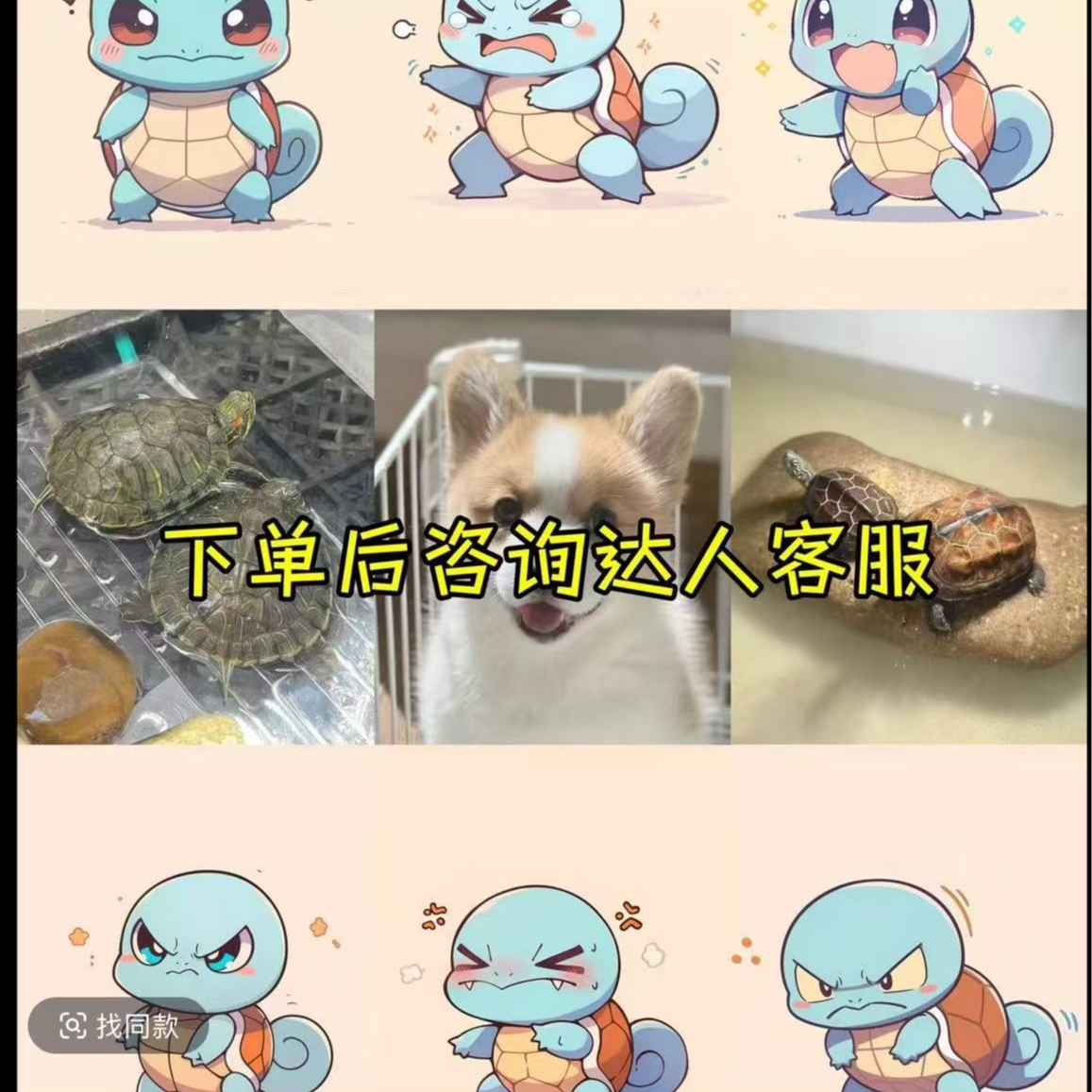 宠物活体链接《一》