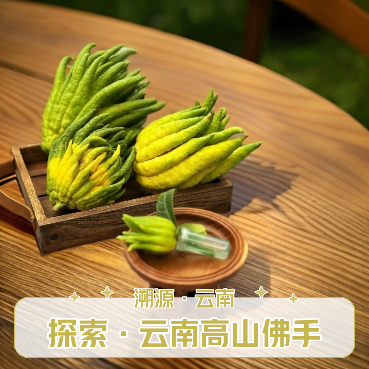 【云佛橼】福寿云南佛手微瑕果水培插花清供观赏手玩天然香薰 新鲜